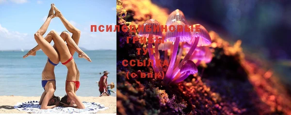 а пвп мука Козловка