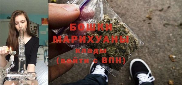 таблы Козельск