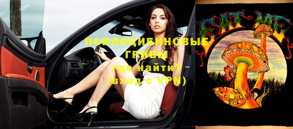 таблы Козельск